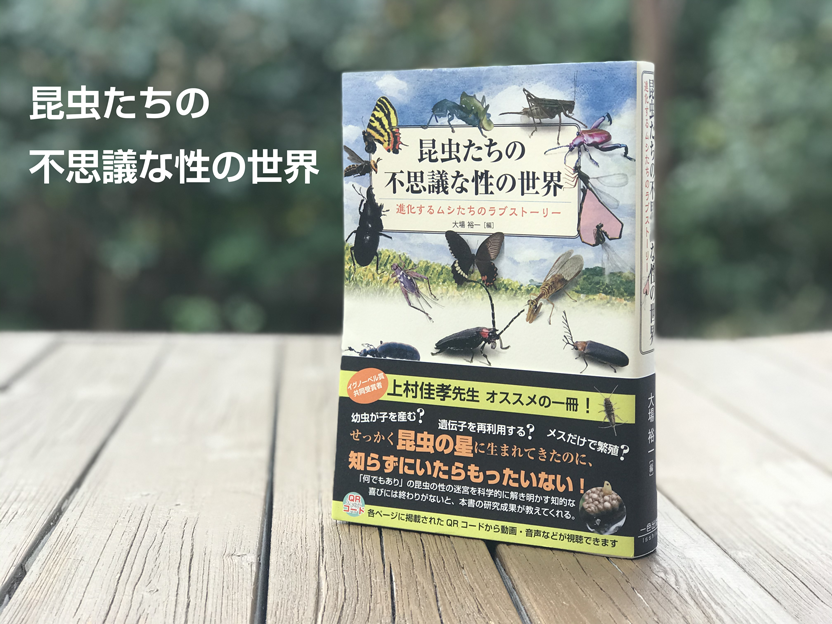 昆虫たちの不思議な性の世界 特徴３つ 一色出版