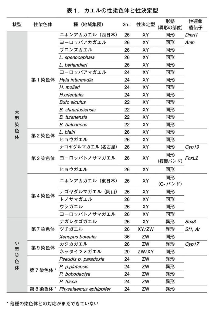 第３章 両生類の性 せめぎ合う性決定様式 一色出版