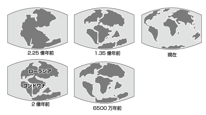 第1章 進化と現生生物 | 一色出版