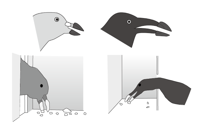 第2章 カラスの認知機能 一色出版