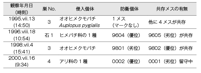 第13章 クモを狩るハチたち 原始的社会性の進化的起源 一色出版